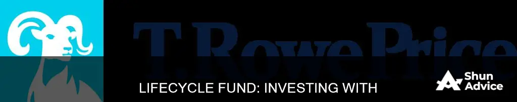 how to invest a lifecycle fund at t rowe rpice