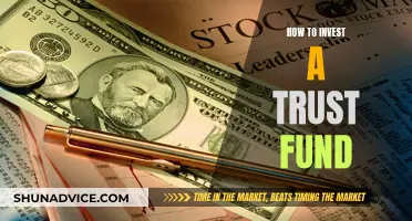 Trust Fund Investment: Strategies for Long-Term Wealth