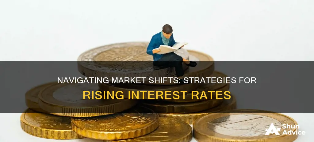 how to invest as interest rates rise