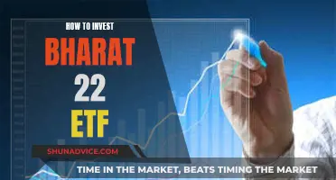 A Guide to Investing in Bharat 22 ETF