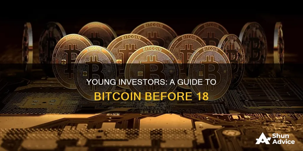 how to invest bitcoin before 18