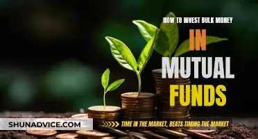 Mutual Funds: Bulk Investment Strategies for Maximum Returns