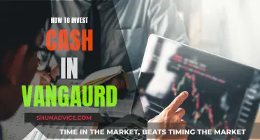 A Beginner's Guide to Investing Cash in Vanguard