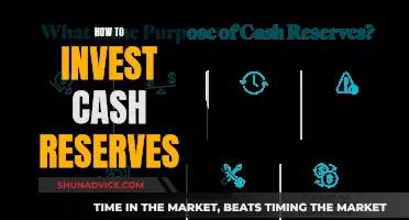 Strategies for Investing Cash Reserves: A Guide to Opportunities