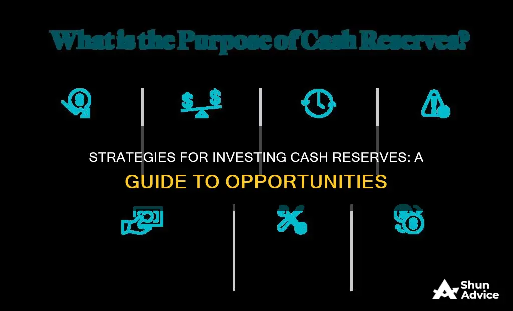 how to invest cash reserves