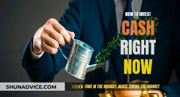 Invest Wisely: Cash Strategies for Today