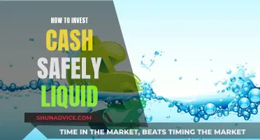 Invest Cash: Safe, Liquid Strategies for Beginners