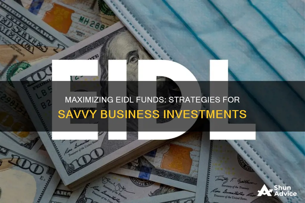 how to invest eidl funds