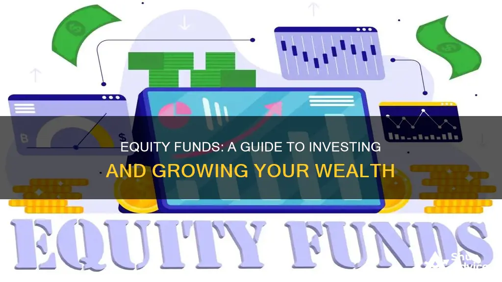 how to invest equity funds