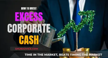 Strategies for Investing Surplus Corporate Cash: A Comprehensive Guide