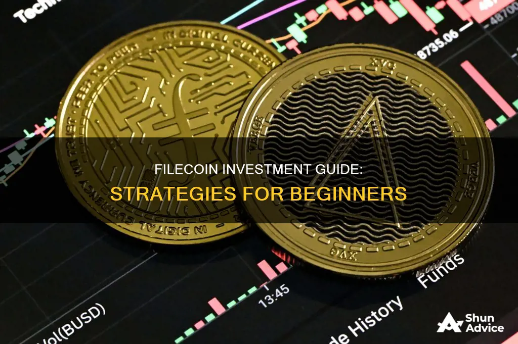 how to invest filecoin