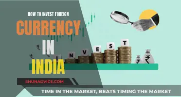 Foreign Currency Investment in India: A Guide