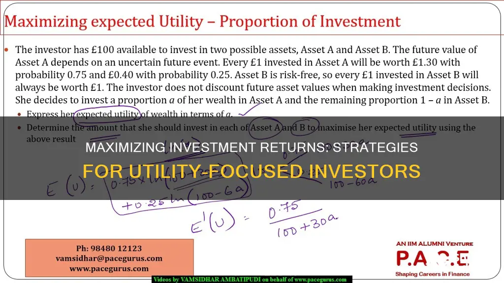 how to invest funds to maximize utility given utility function