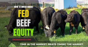 Grass-Fed Beef Equity: A Smart Investment Strategy