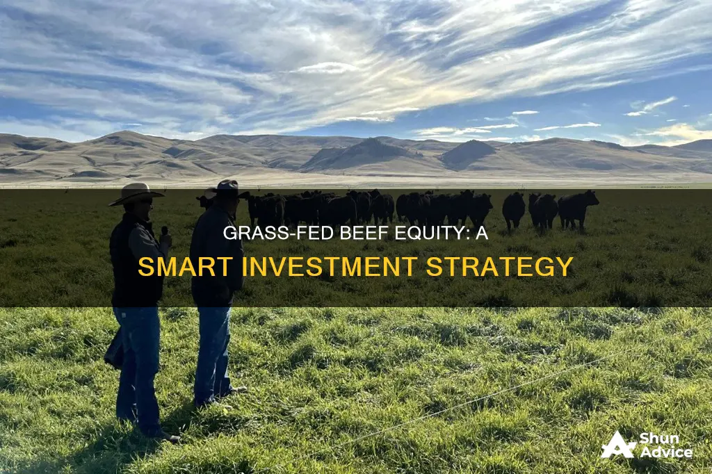 how to invest grass fed beef equity