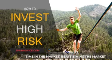 High-Risk Investment Strategies: Maximizing Returns, Managing Risk