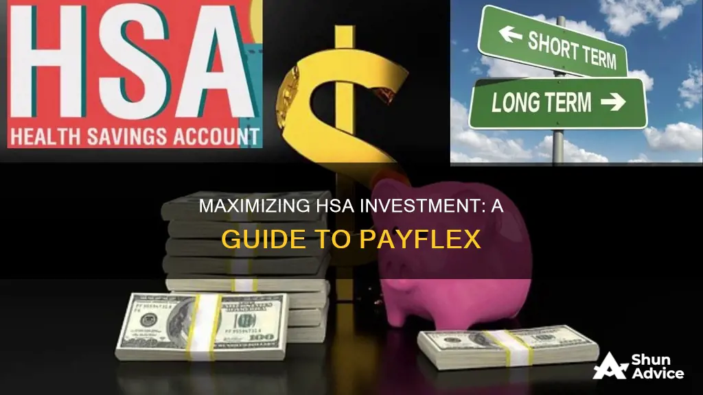 how to invest hsa funds payflex