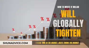 Navigating the Global Markets: Strategies for Investing Amidst Dollar Tightening