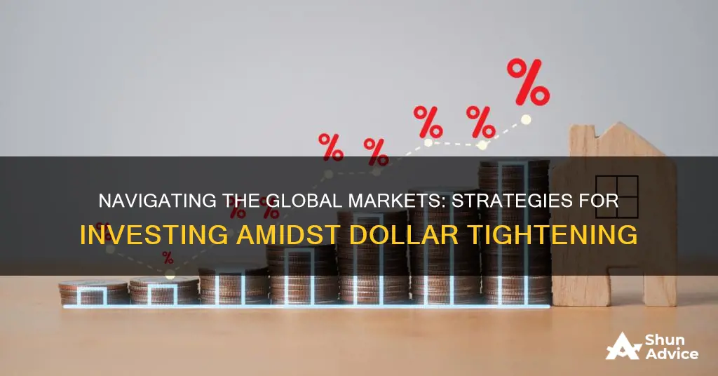 how to invest if dollar will globally tighten