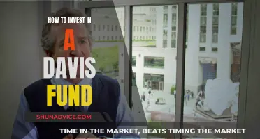 Investing in a Davis Fund: A Comprehensive Guide