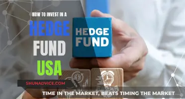 Strategies for Investing in US-Based Hedge Funds