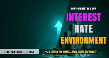 Navigating the Market: Strategies for Investing in a Low-Interest Rate World