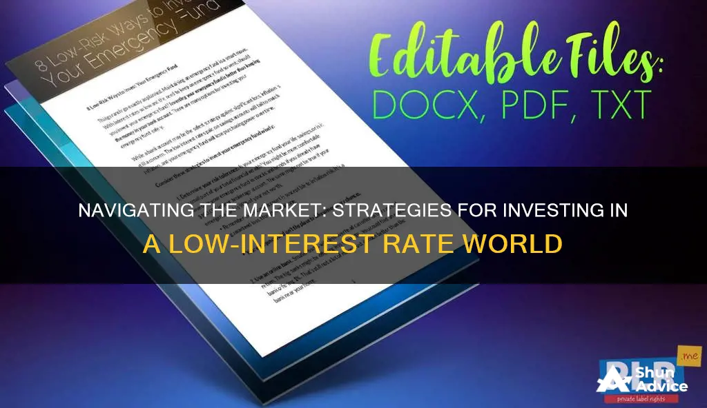 how to invest in a low interest rate environment