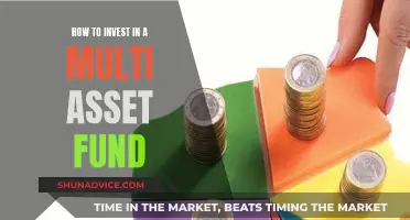 Multi-Asset Fund Investment: A Guide to Getting Started