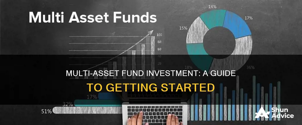 how to invest in a multi asset fund