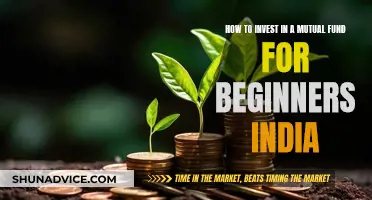 A Beginner's Guide to Mutual Fund Investing in India