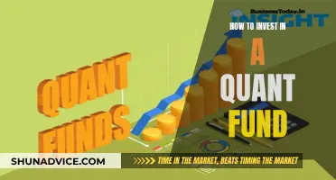 Quant Fund Investment: Strategies for Success