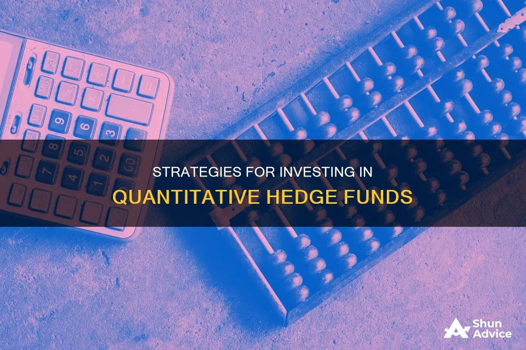 how to invest in a quant hedge fund