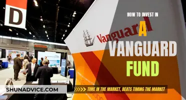 A Guide to Investing in Vanguard Funds