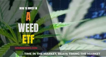 Weed ETF Investment: Getting Started and Growing Your Portfolio