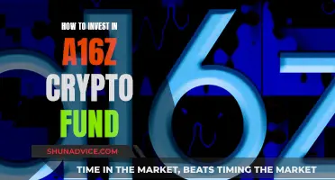 Strategies for Investing in the a16z Crypto Fund