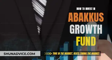 Unlocking Abakkus Growth Fund: A Guide to Smart Investing