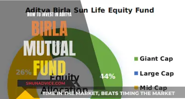 A Guide to Aditya Birla's Mutual Fund Investment