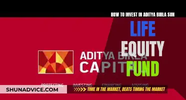 Aditya Birla Sun Life Equity Fund: A Smart Investment Choice?