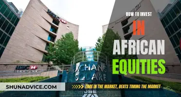 African Equities: A Guide to Investing in the Continent's Future