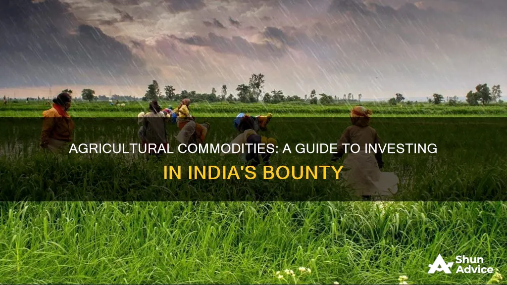 how to invest in agricultural commodities in india