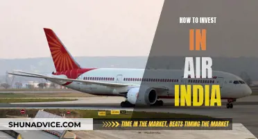 Air India: An Investment Guide for Beginners