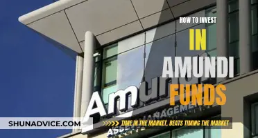 Amundi Funds: A Guide to Investing in Their Success