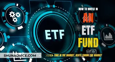 A Beginner's Guide to ETF Fund Investment