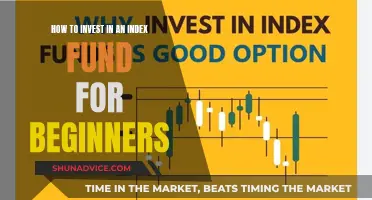 Index Funds: Investing Basics for Beginners