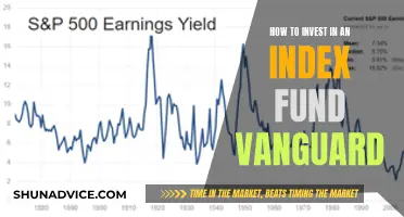 A Beginner's Guide to Vanguard Index Fund Investing