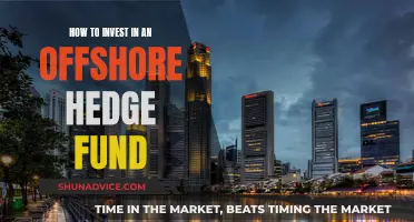 Offshore Hedge Fund Investment: Strategies and Secrets Revealed