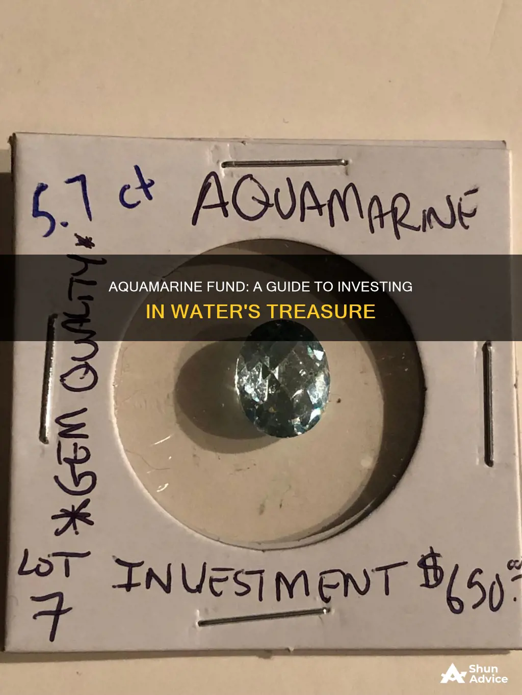 how to invest in aquamarine fund