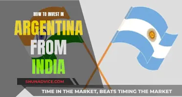 Exploring Argentina-India Investment Opportunities and Strategies