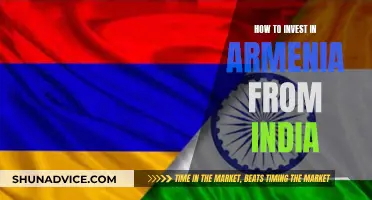 Armenia-India Investment Strategies: A Comprehensive Guide