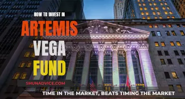 Artemis Vega Fund: A Smart Investment Strategy